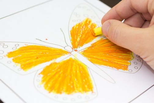 Oil Pastel Art Project - Monarch Butterfly - Art For Kids Hub