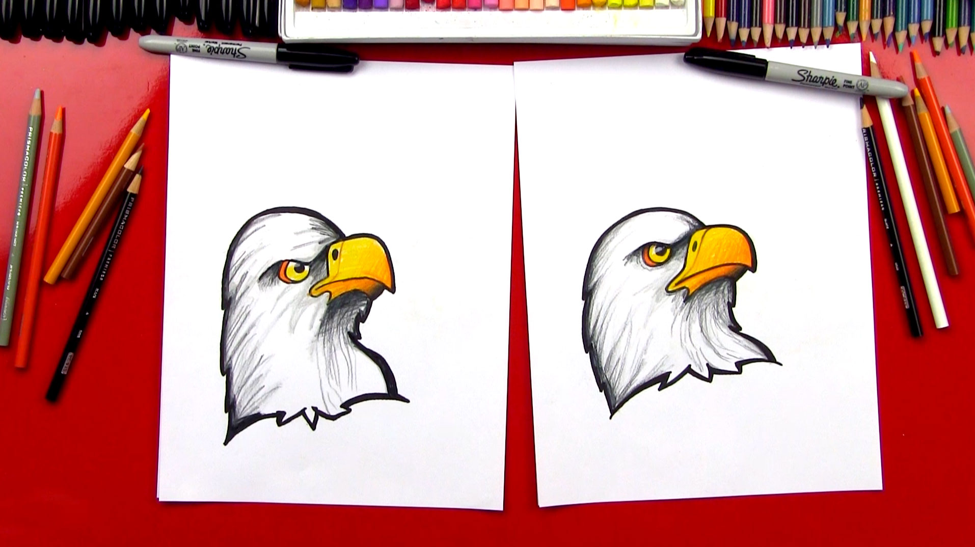 How To Draw A Realistic Bald Eagle Head (Art Club Members) - Art For ...