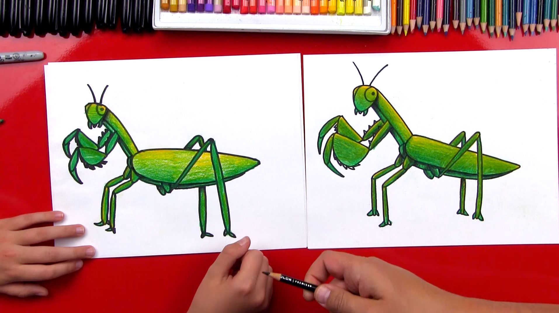 how to draw a praying mantis