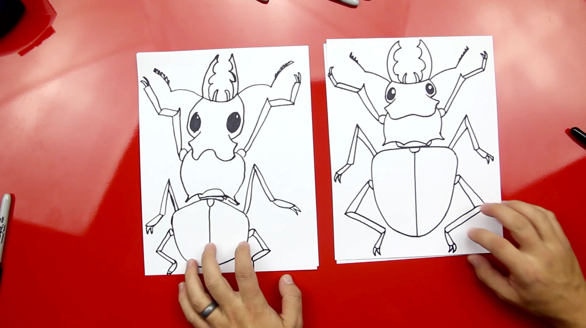 How To Draw A Daddy Long Legs - Art For Kids Hub 