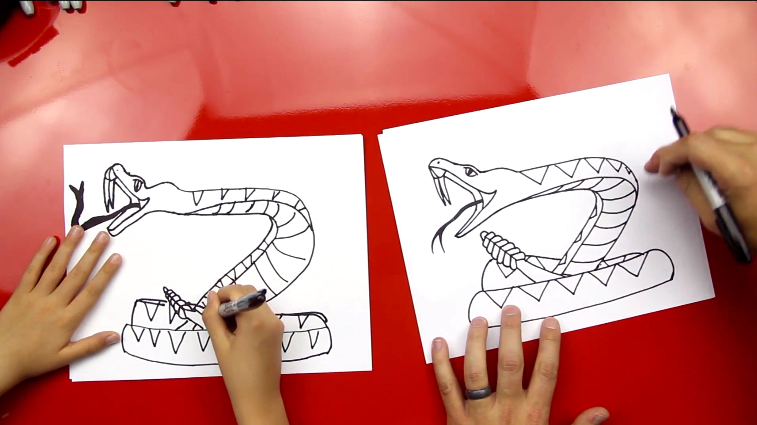 How To Draw A Rattlesnake Art For Kids Hub