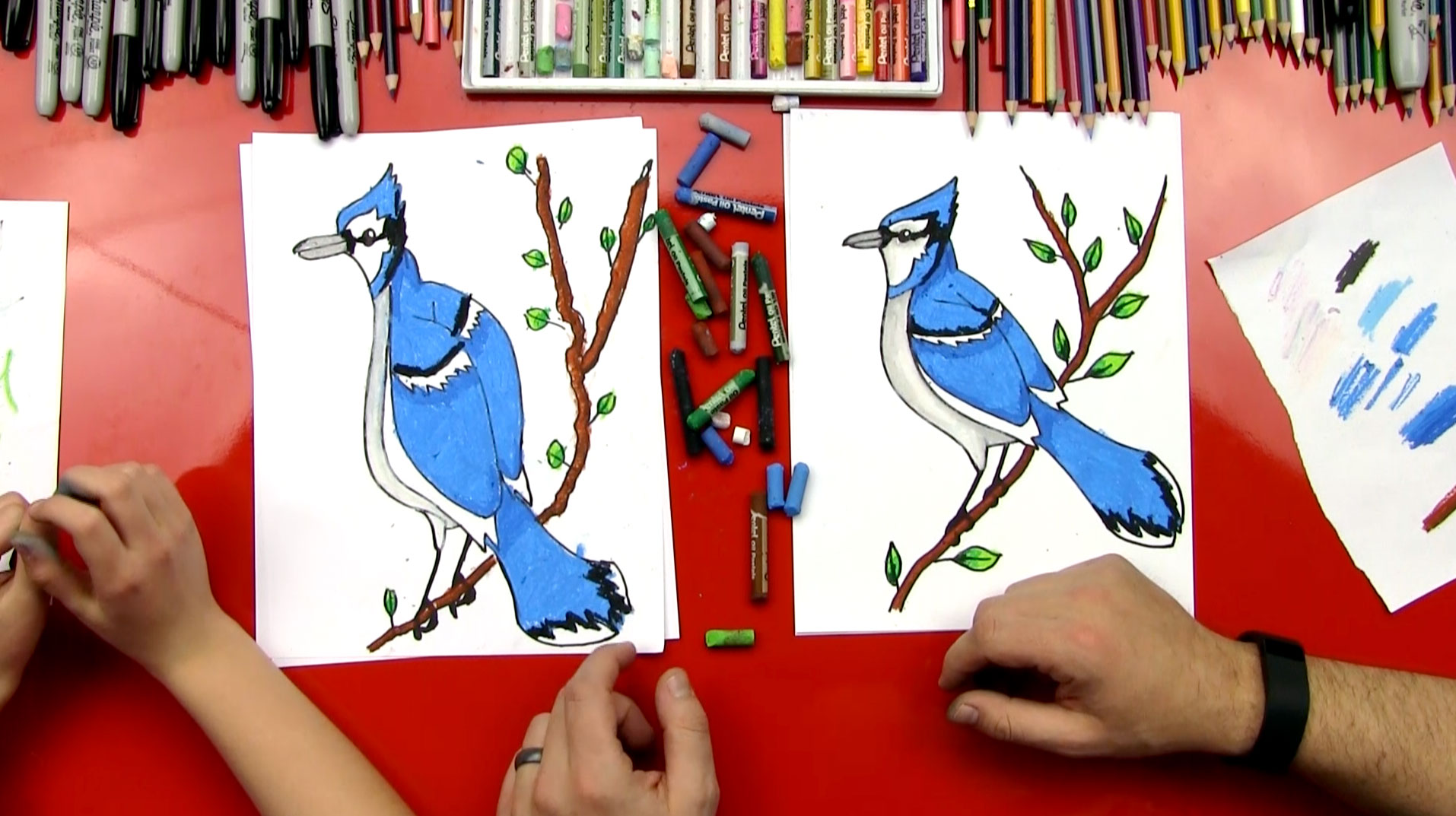 drawing blue jays