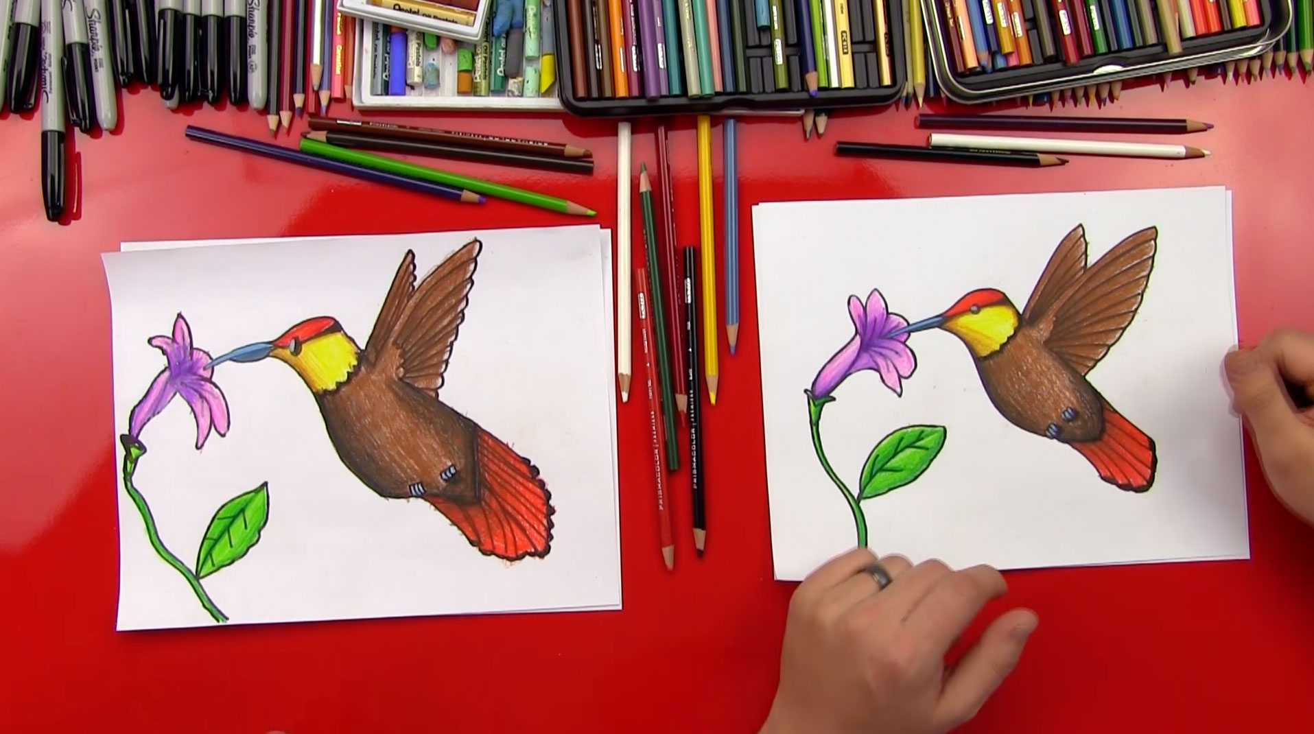 How To Draw A Hummingbird And Flower