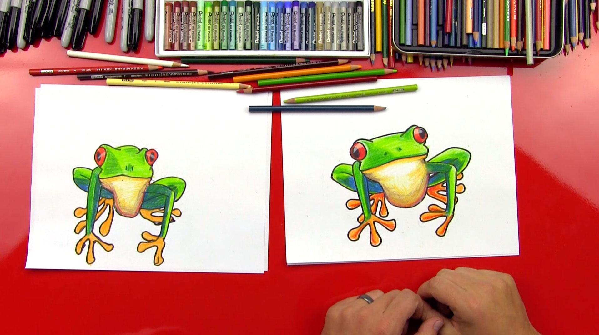 how to draw a tree frog step by step