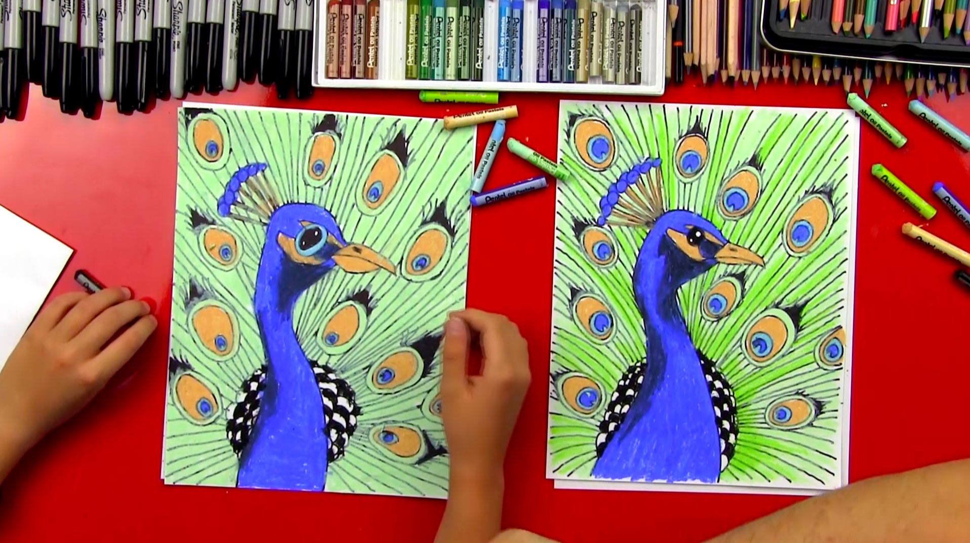 How To Draw Peacock Draw. Imagine. Create.