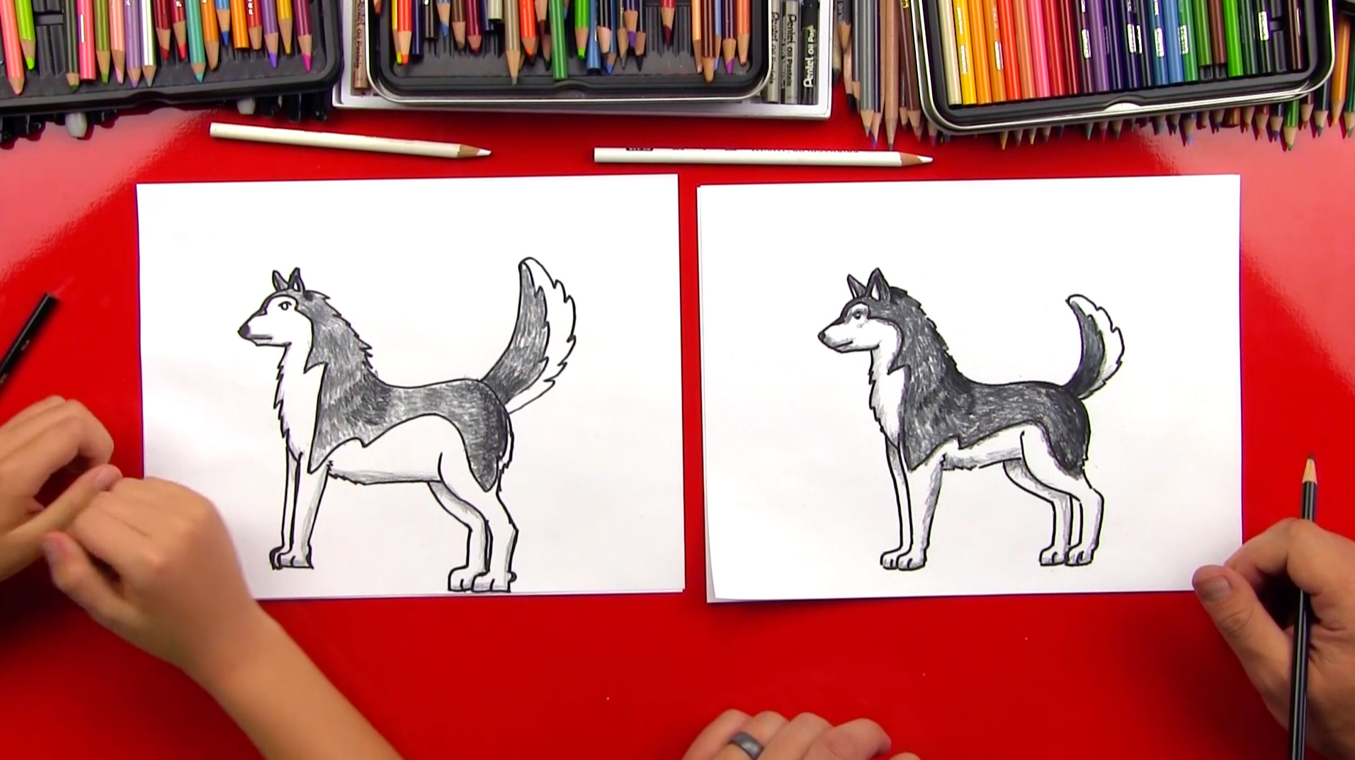 How To Draw A Realistic Husky - Art For Kids Hub