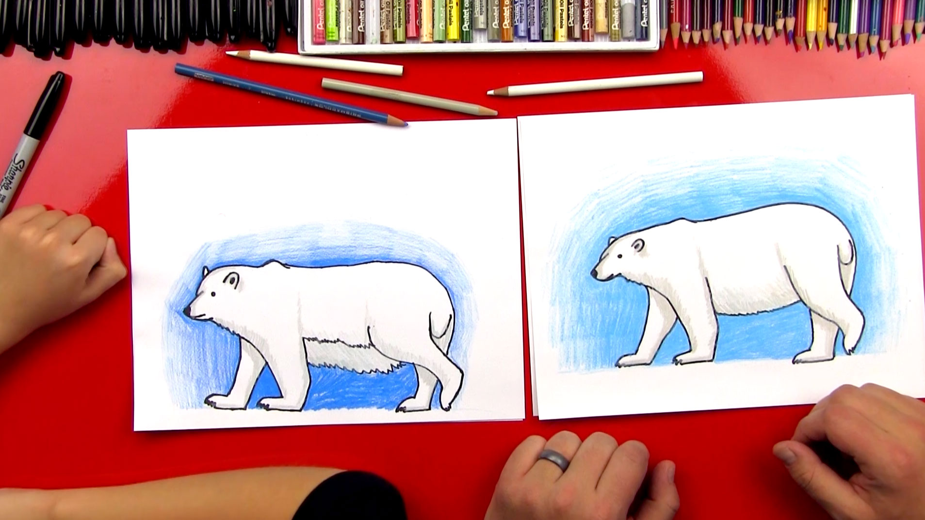 How To Draw A Polar Bear (Realistic) Art For Kids Hub