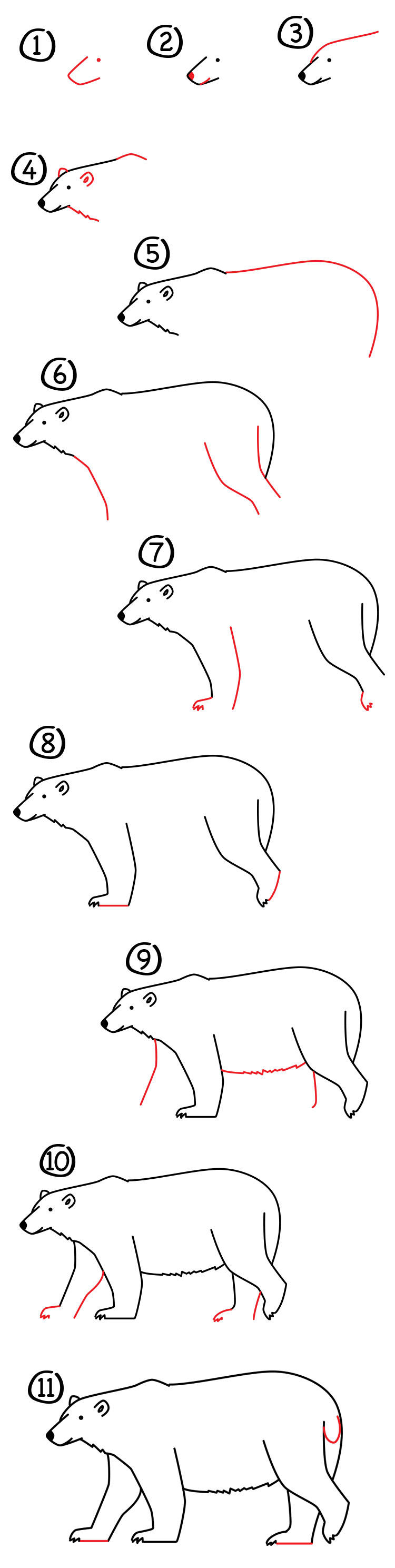 45++ How Do You Draw A Polar Bear Step By Step download - Free Information