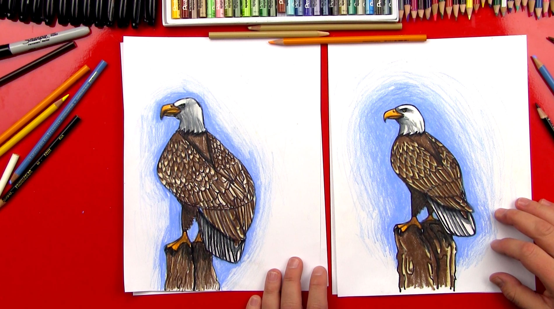 How To Draw A Realistic Bald Eagle - Art For Kids Hub