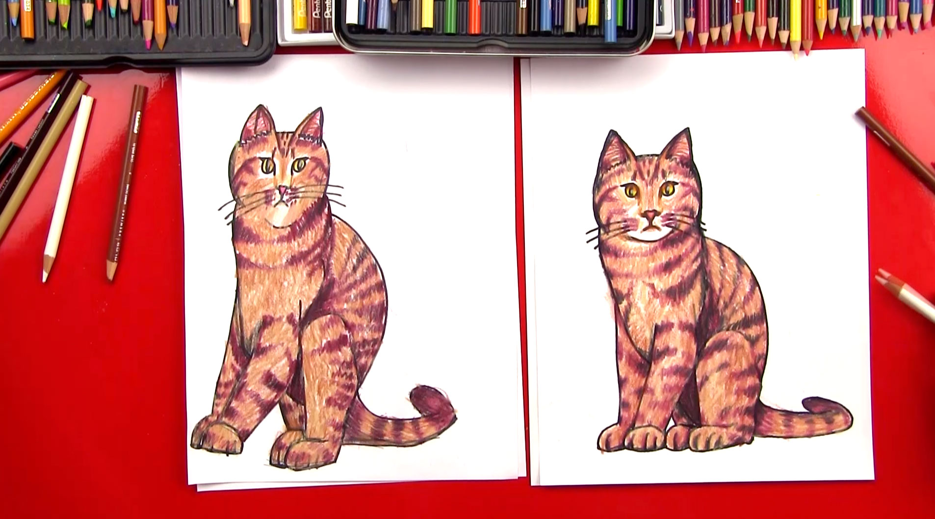 How To Draw A Realistic Cat - Art For Kids Hub