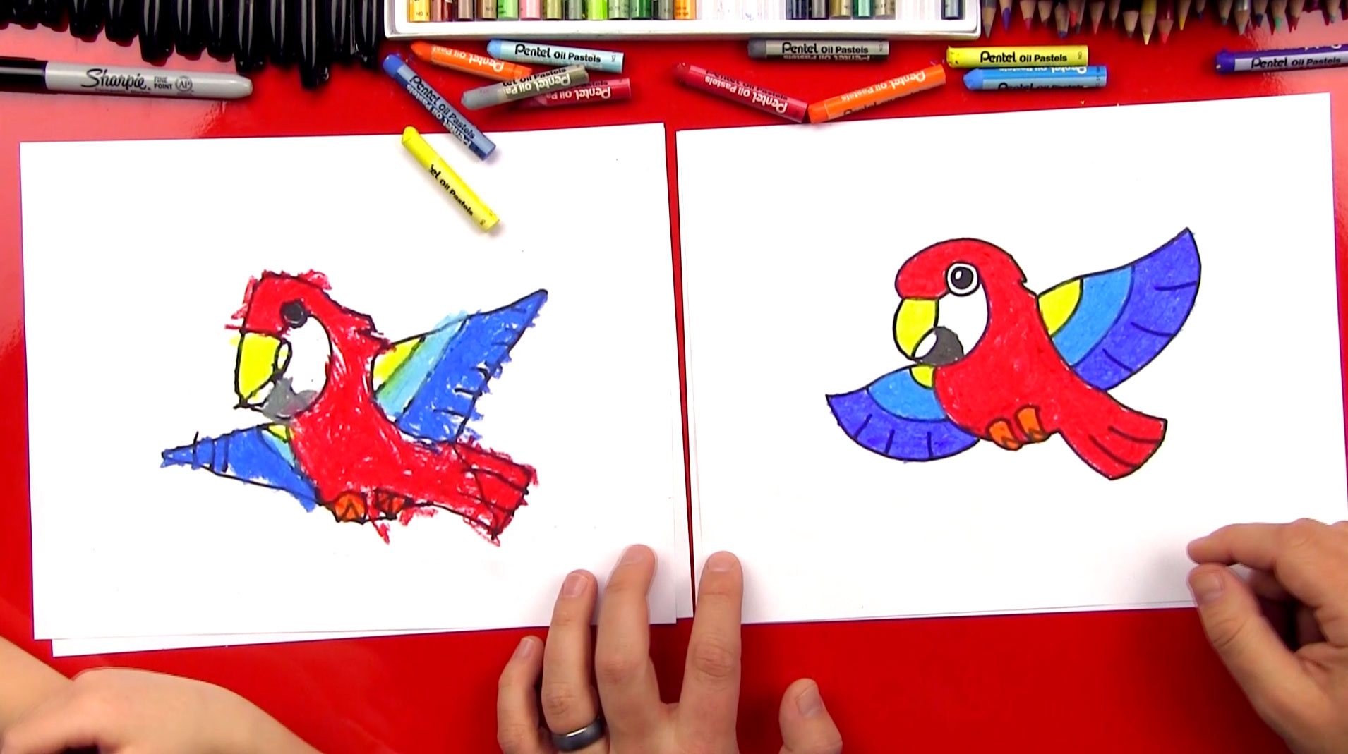 how to draw a parrot for kids