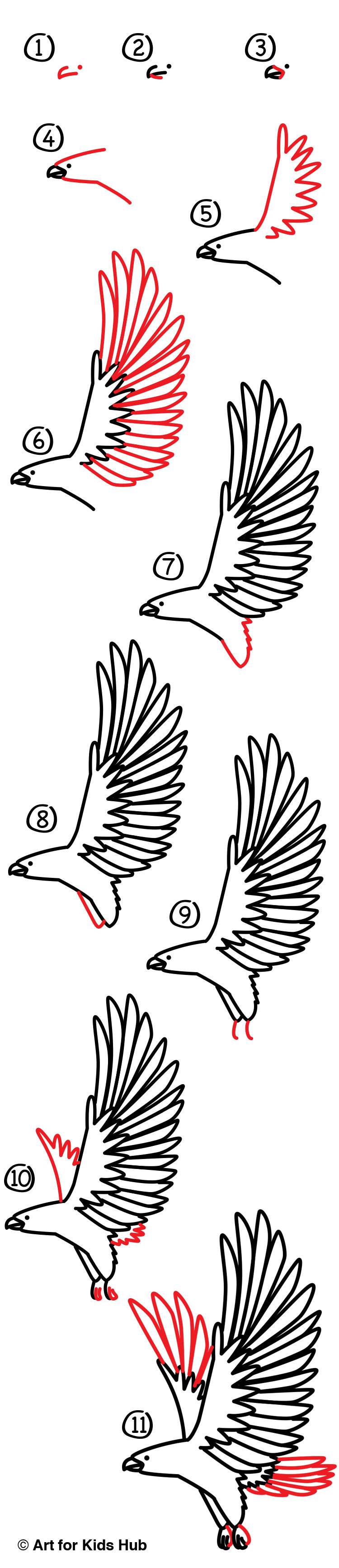 Best How To Draw A Hawk of the decade Check it out now 