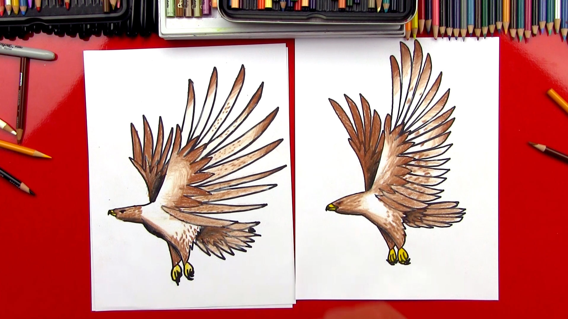 how to draw a hawk
