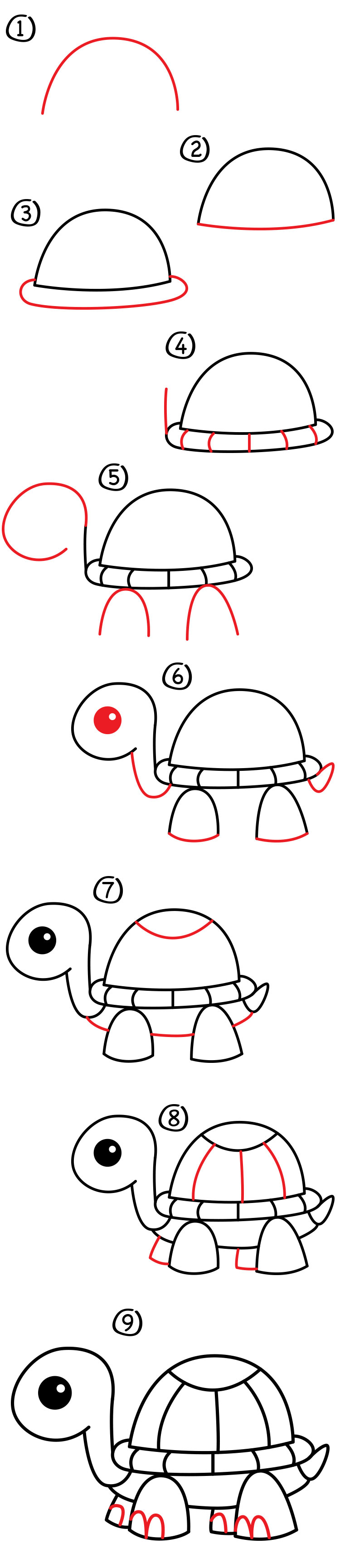 How To Draw A Cartoon Turtle Art For Kids Hub