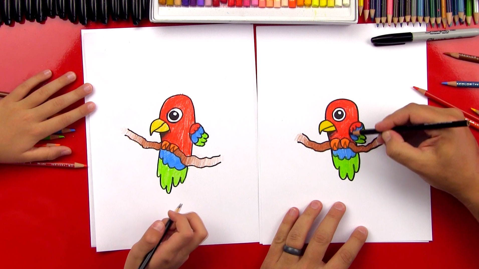 how-to-draw-cartoon-parrot-feature