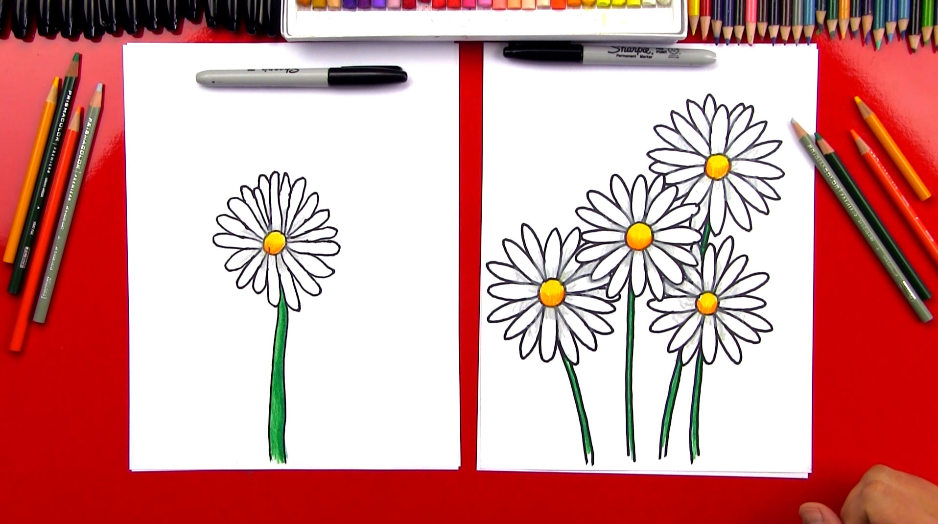 Cartoon Characters Drawing Easy With Color : How To Draw A Daisy Flower ...
