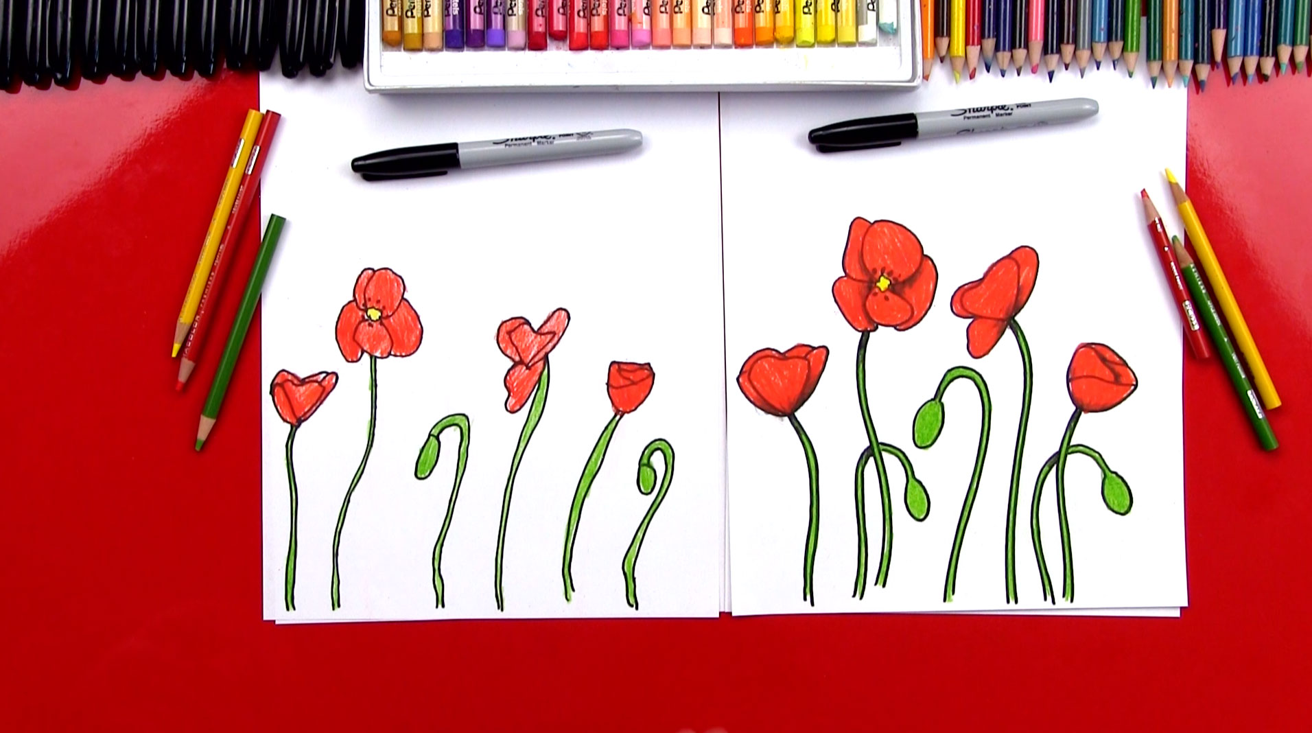 how to draw a poppy