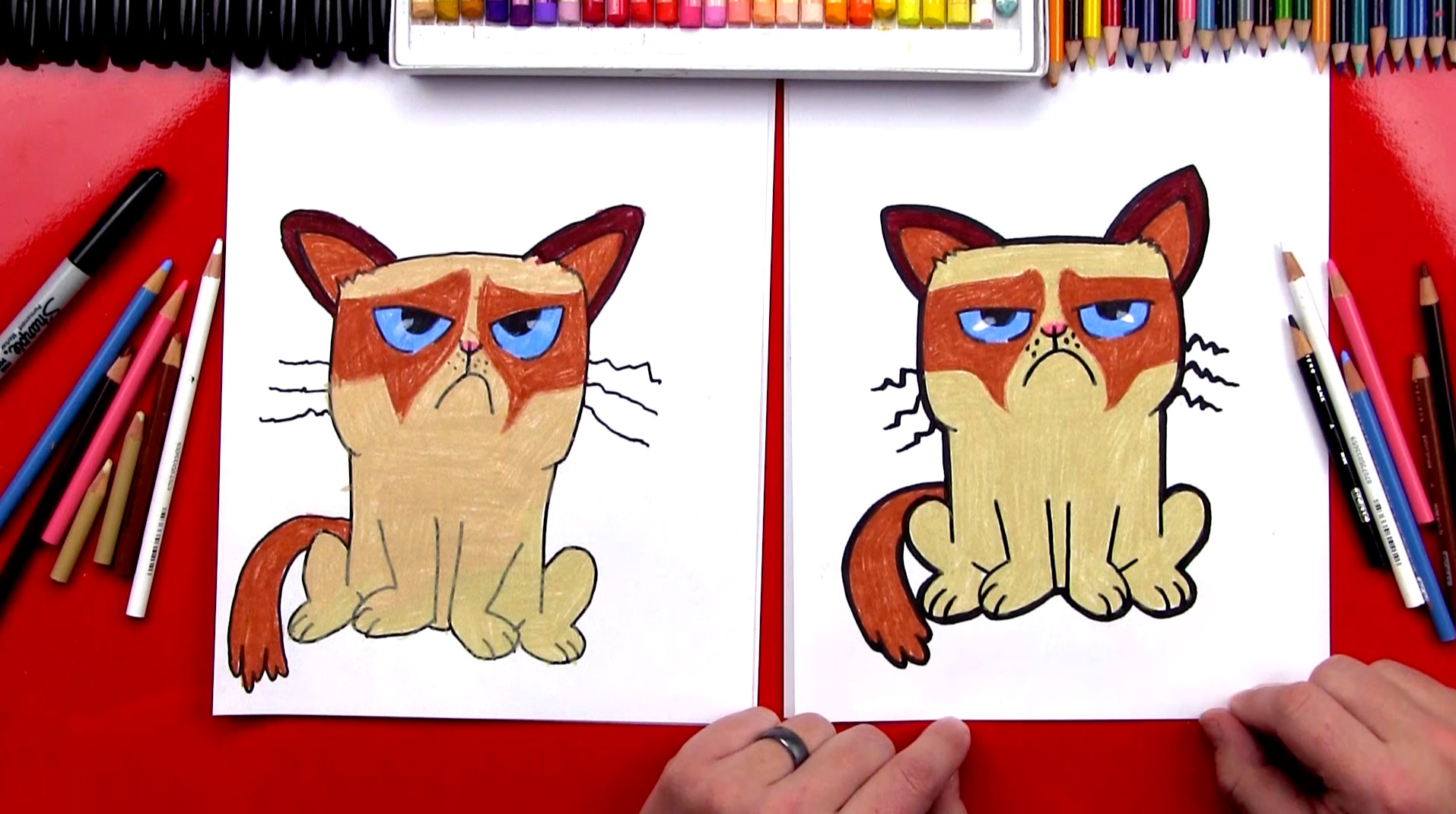 How to Draw Grumpy Cat  Drawing Lesson 