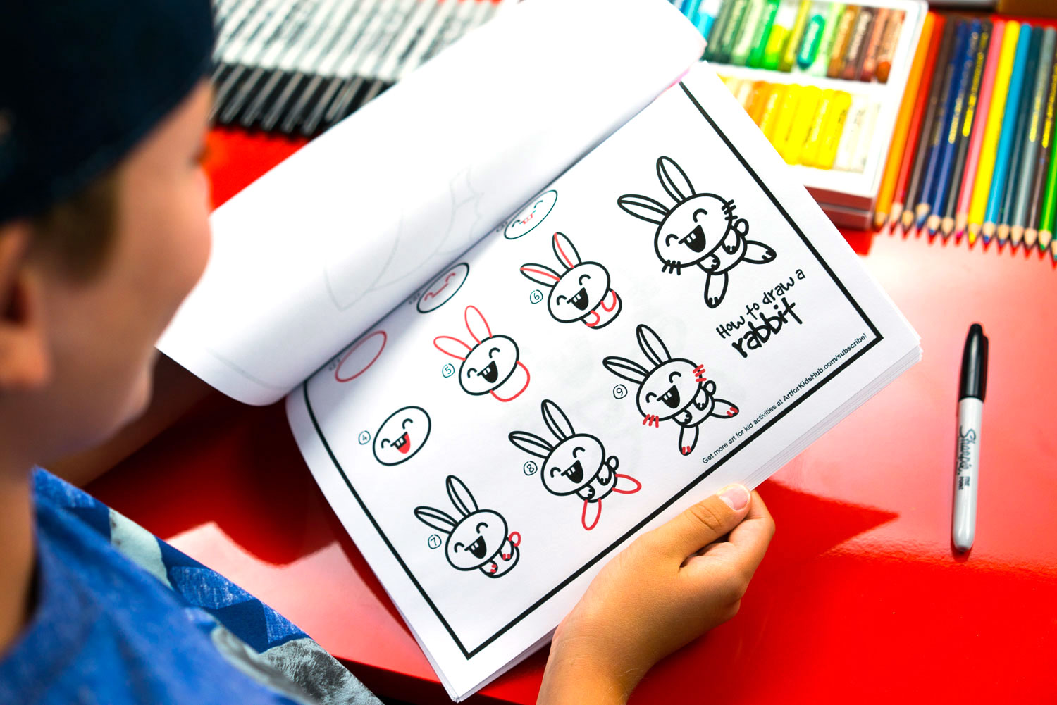 How To Draw Cartoon Animals - Art For Kids Hub