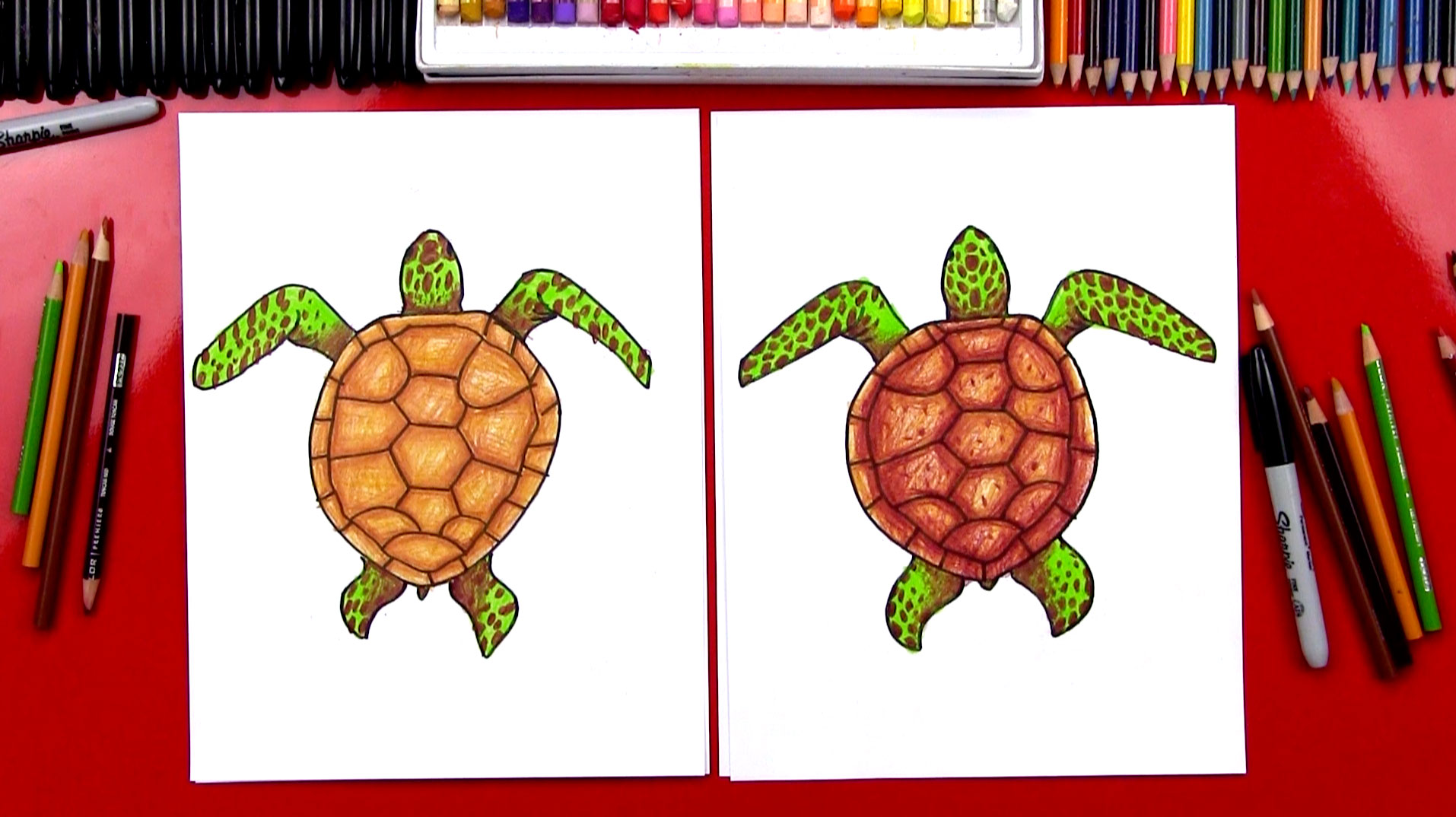 how to draw a sea turtle step by step