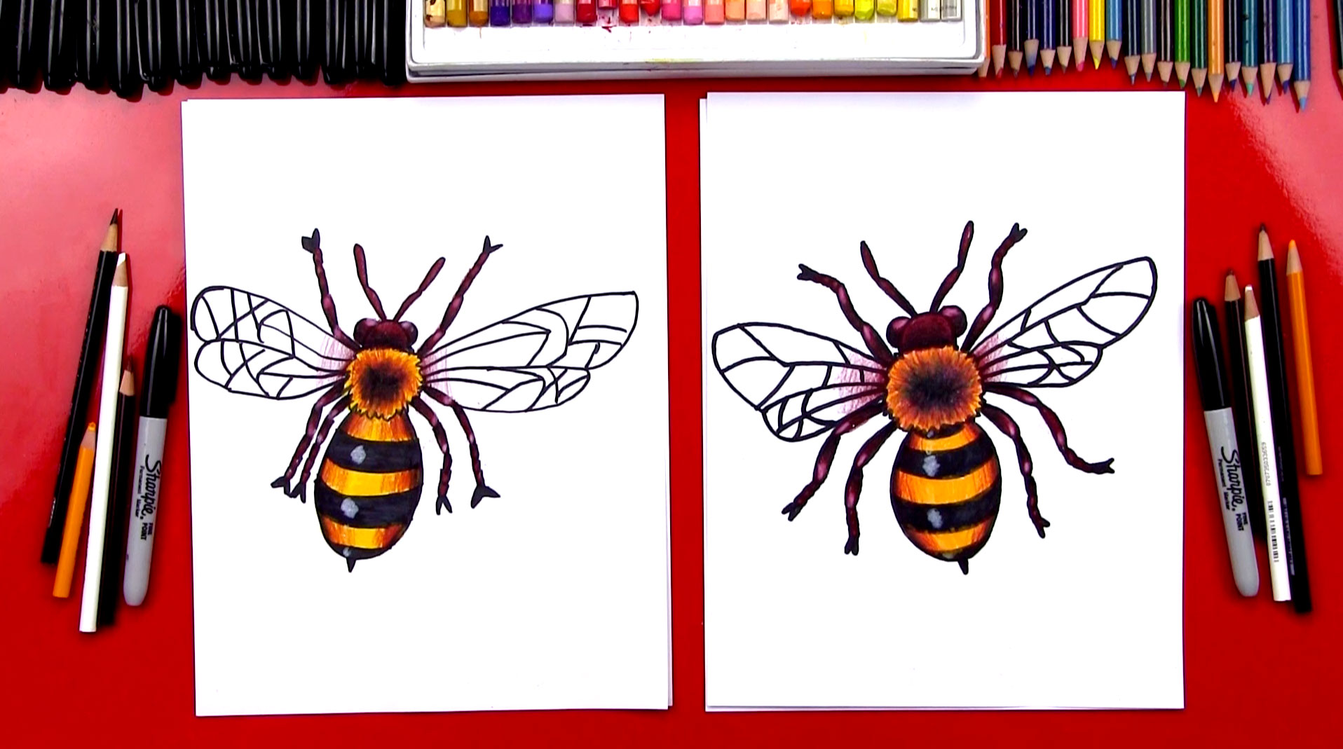 How To Draw A Realistic Bee - Art For Kids Hub
