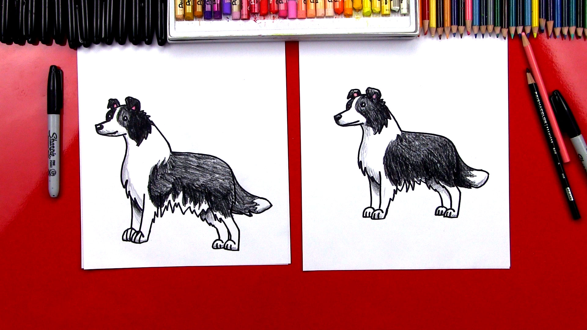 How To Draw A Border Collie - Art For Kids Hub