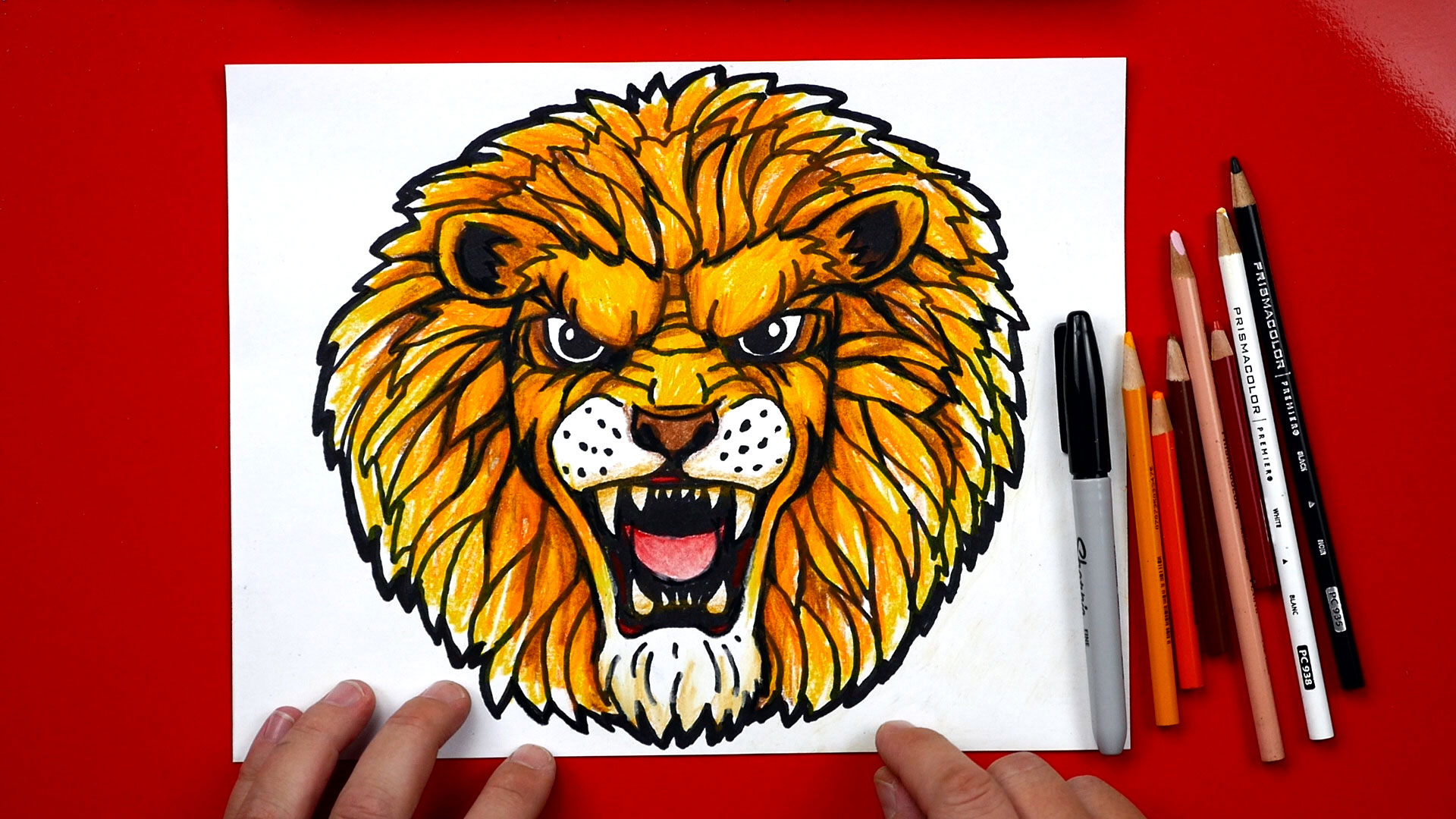 How To Draw A Realistic Lion Art For Kids Hub