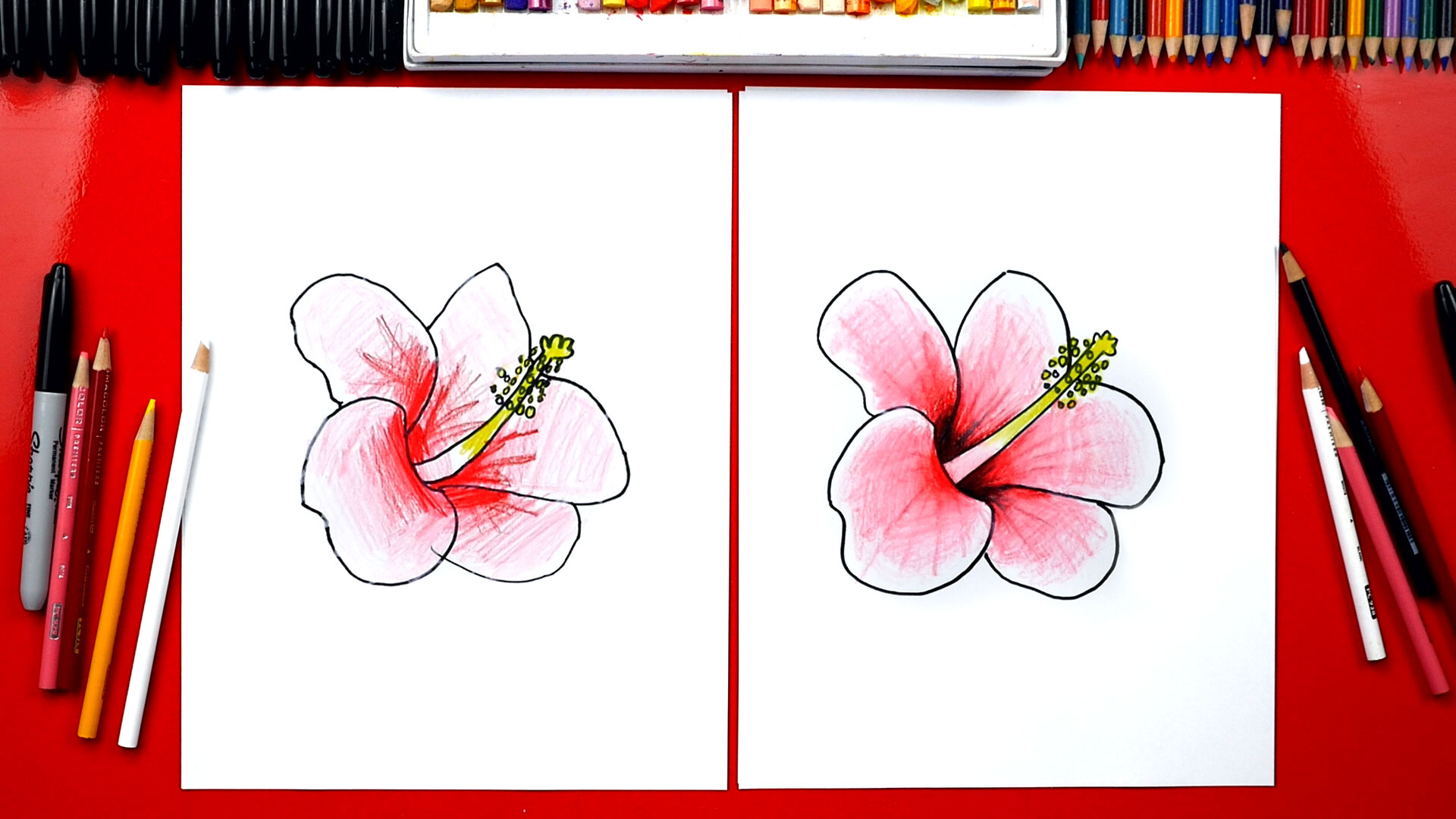 Hand Drawn Hibiscus Flower High-Res Vector Graphic - Getty Images-saigonsouth.com.vn
