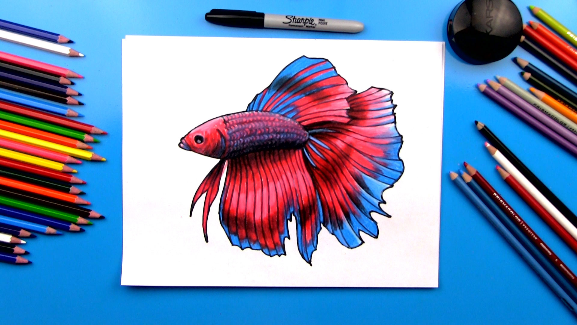 Beta Fish Drawing Stippling Art Drawing - Etsy