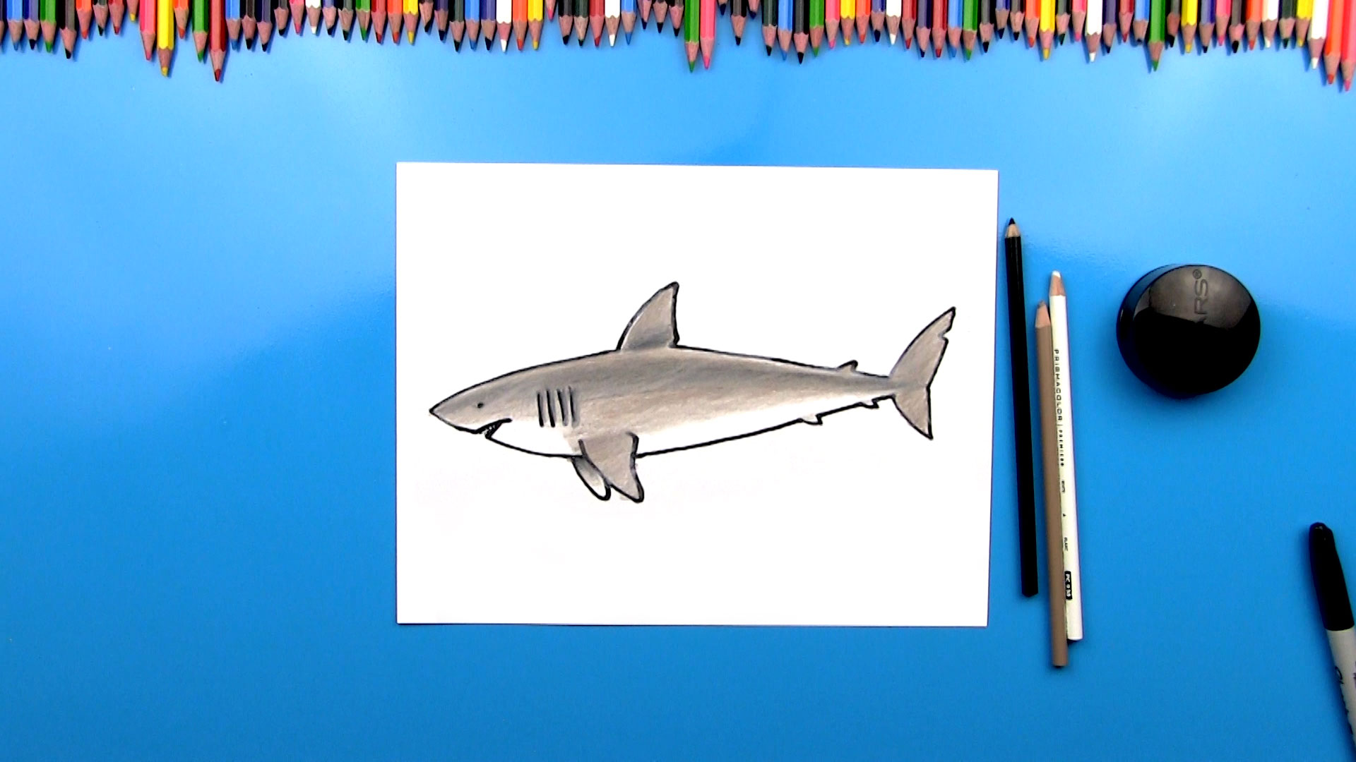 How To Draw A Great White Shark Cartoon - Art For Kids Hub -