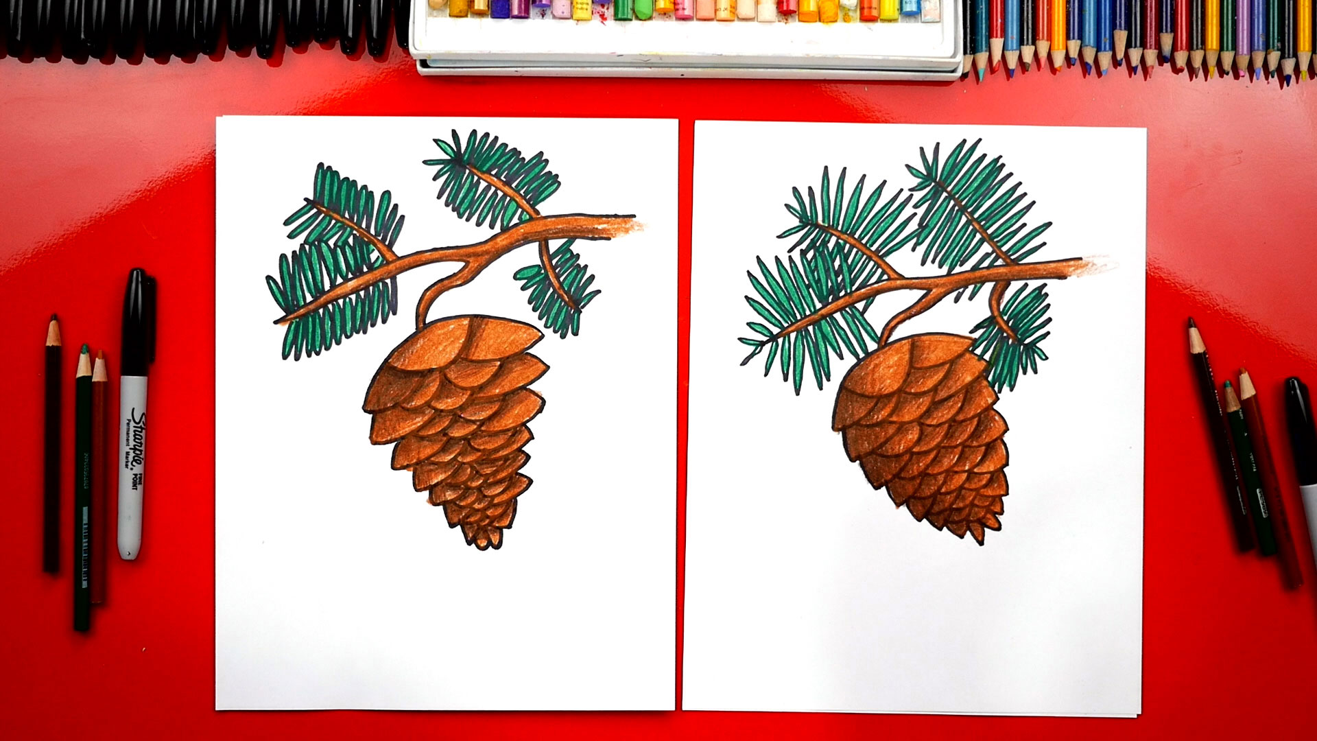 How To Draw A Pinecone - Art For Kids Hub