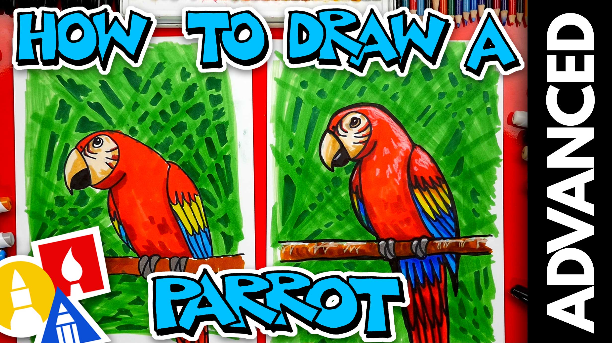 How to draw a Macaw parrot. Step-by-step drawing lesson.