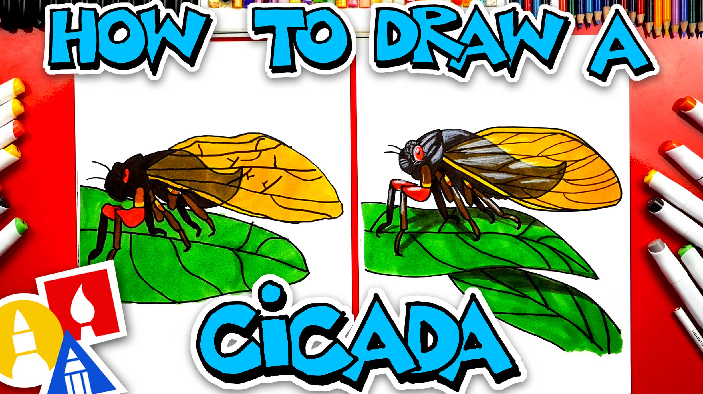 How To Draw A Cicada Insect Art For Kids Hub