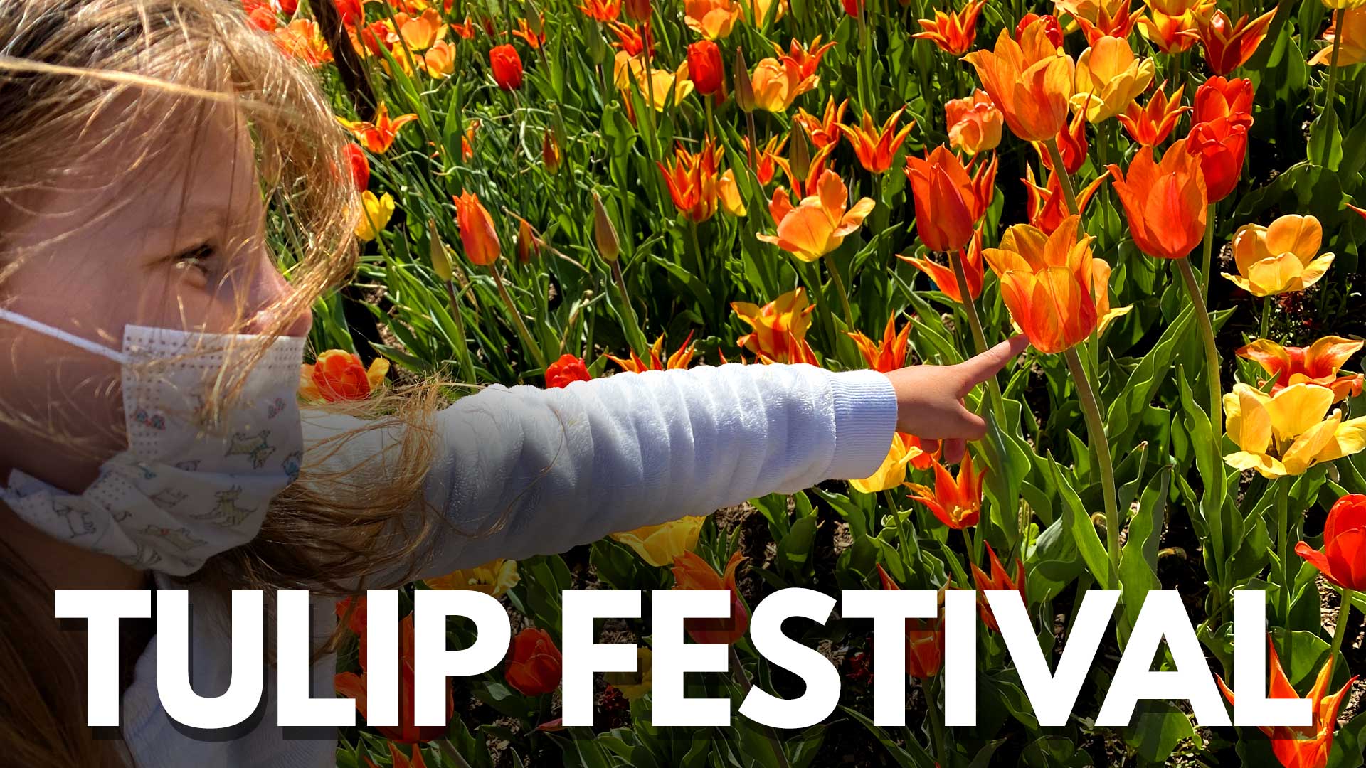 Tulip Festival - Art For Kids Hub