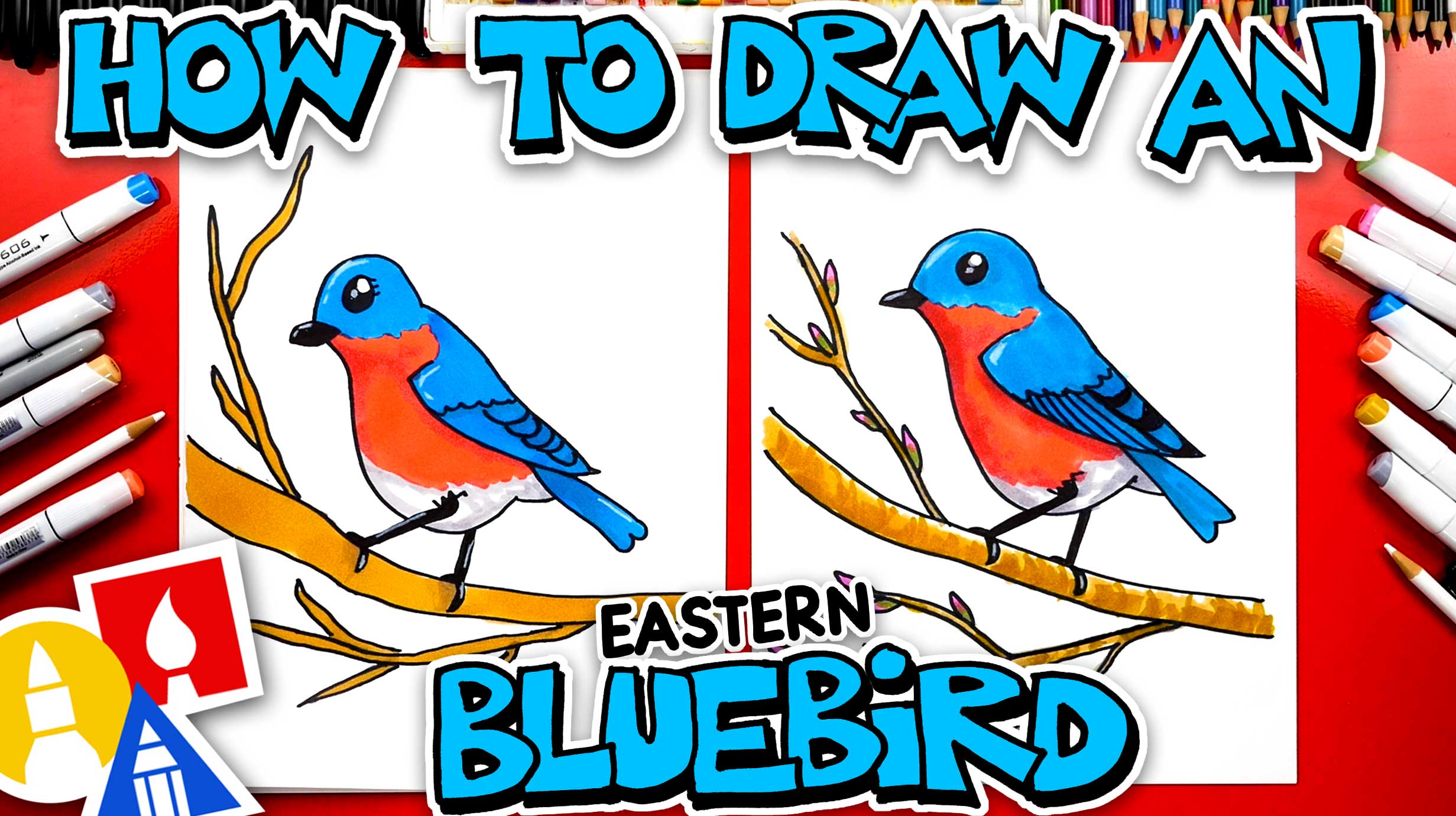 How To Draw An Eastern Bluebird Art For Kids Hub