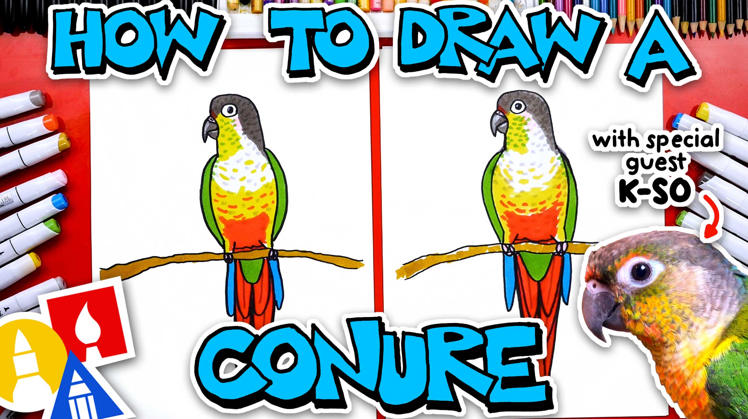 How To Draw A Green Cheek Conure Art For Kids Hub