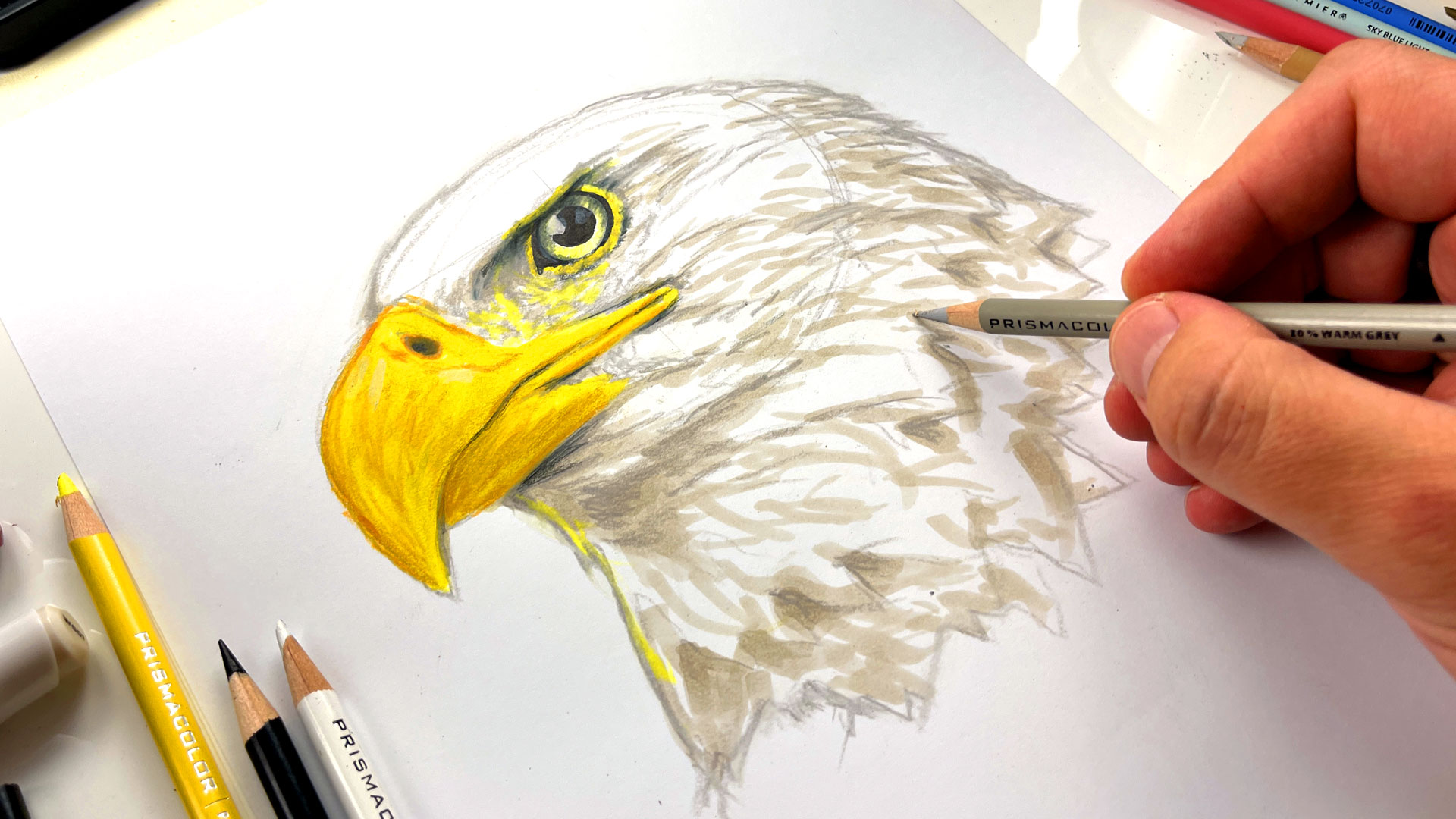 Buy Original Bald Eagle Drawing Online in India  Etsy