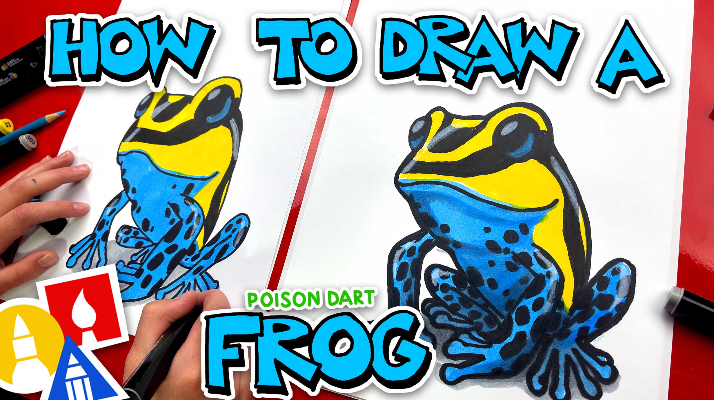 How to Draw a Poison Dart Frog StepbyStep Art Lesson