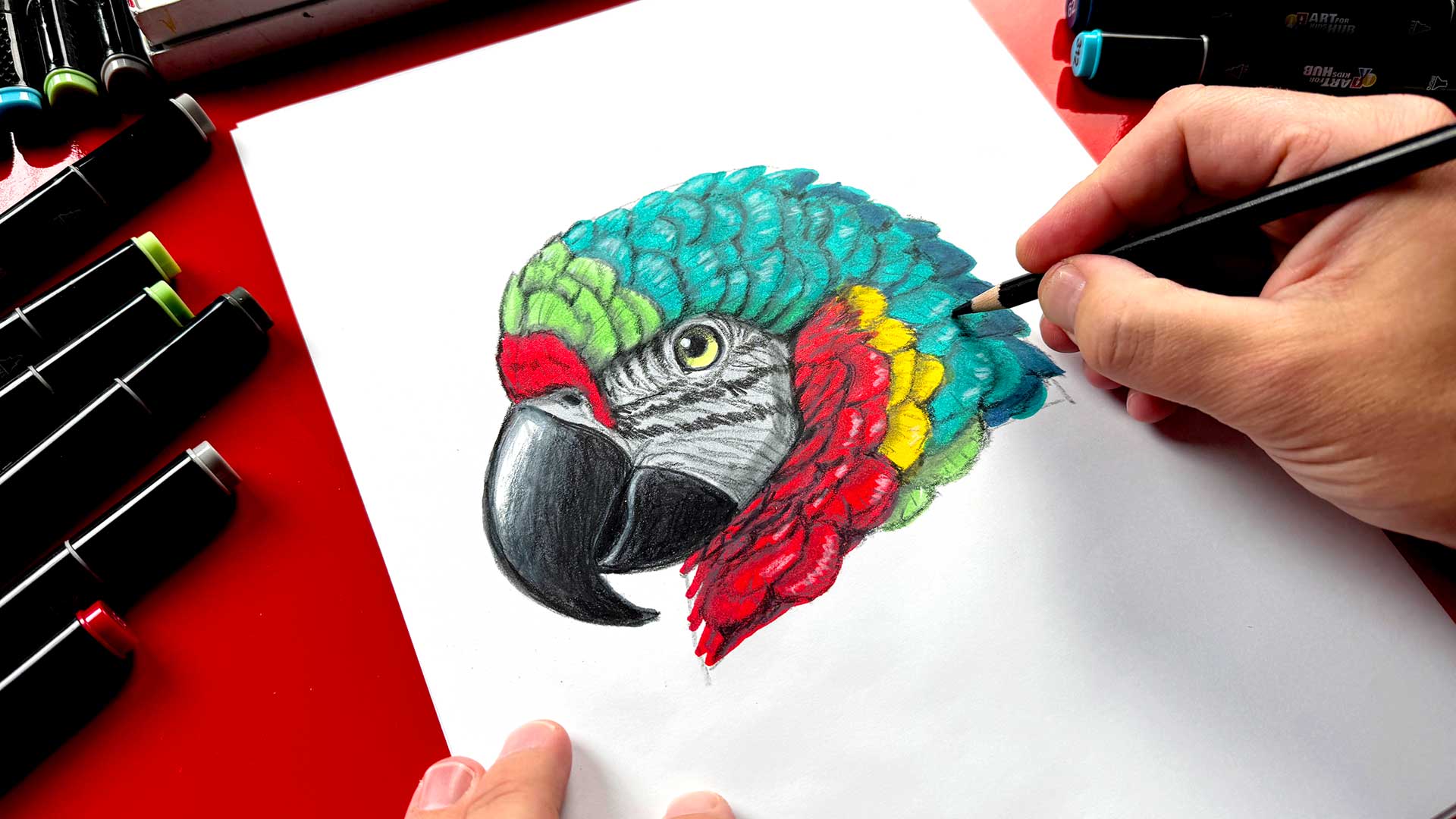 How To Draw A Realistic Parrot Advanced Art For Kids Hub