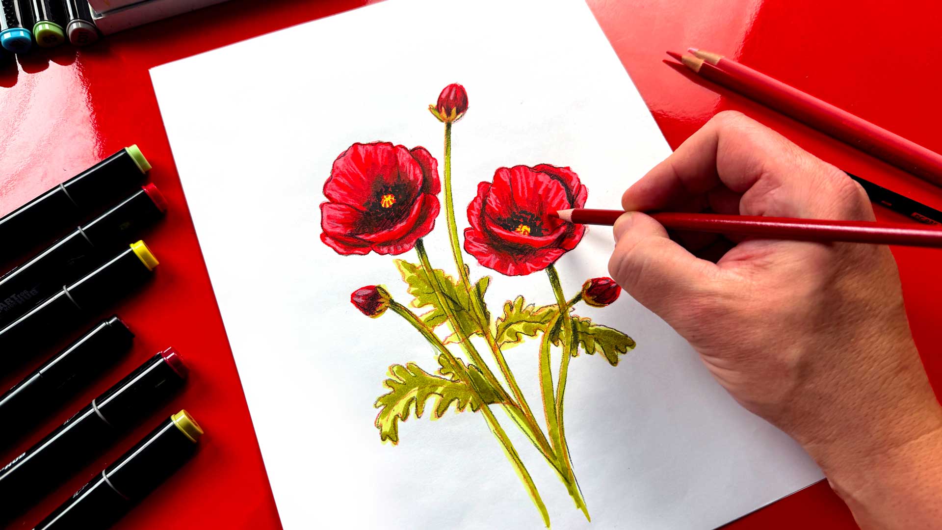 How To Draw Poppy Flowers - Advanced - Art For Kids Hub